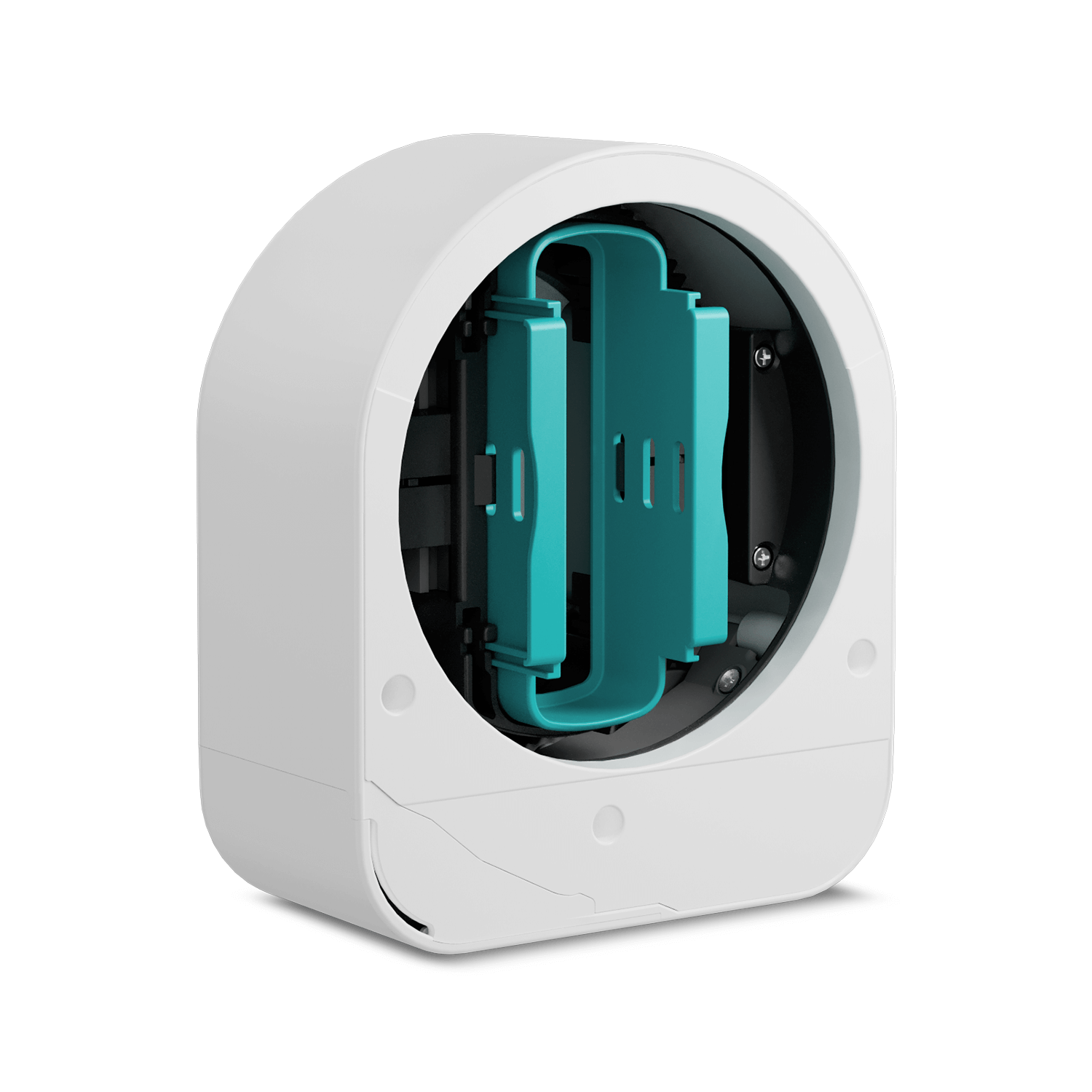 Sesame 5 北米北欧版