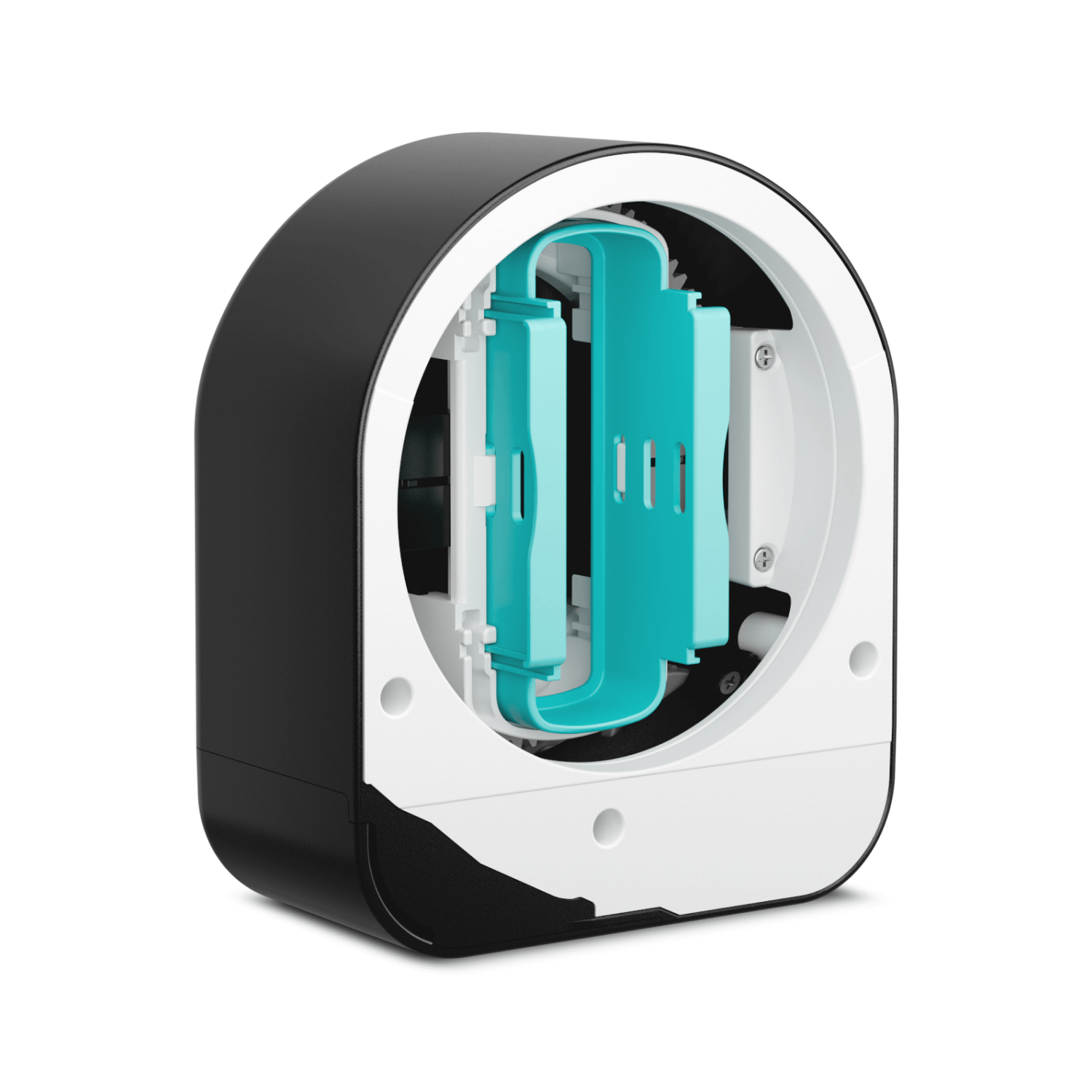 Sesame 5 北米北欧版